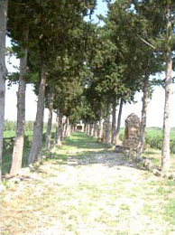 santuarioincoronata pic matris1